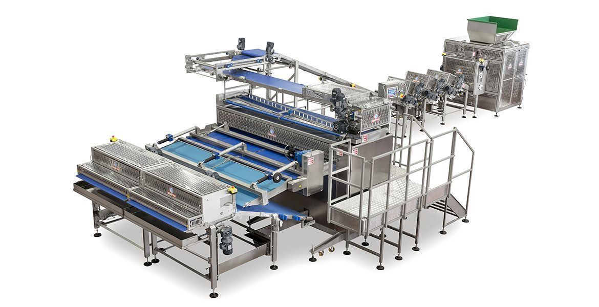 Промышленная линия производства таралли и баранок