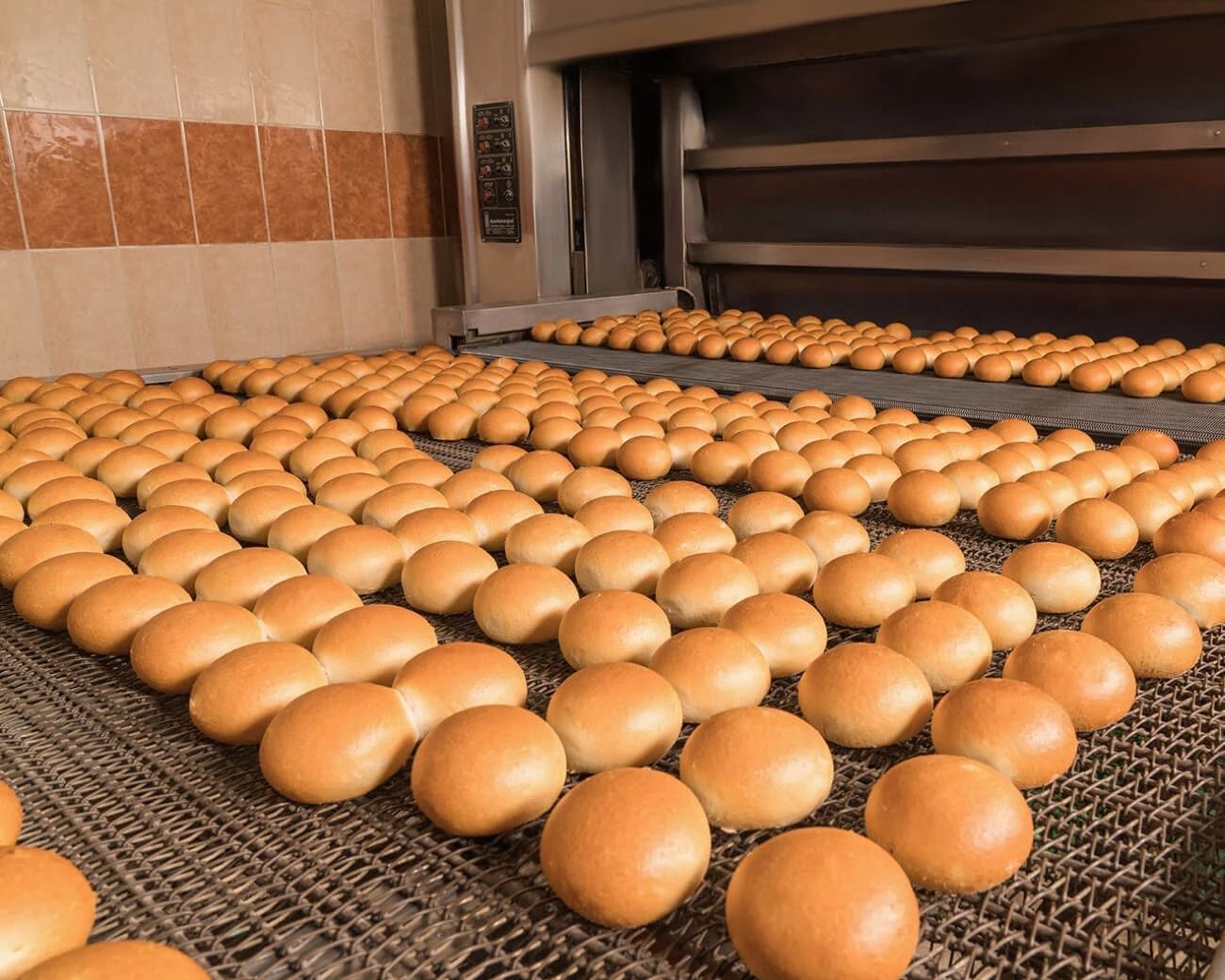 Многоярусные паротрубные туннельные печи 