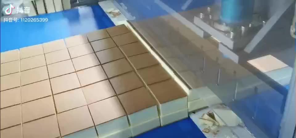 Поточная машина для продольной и поперечной ультразвуковой нарезки WS 5-600