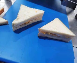 Ультразвуковой слайсер для резки (сэндвичей) WS-160K